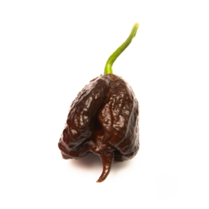 Carolina Reaper (Chocolate) per 100g