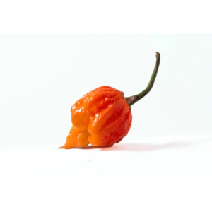 Carolina Reaper (Peach) per 100g