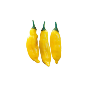 Aji Limon (Lemon Drop) per 100g