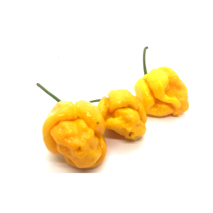 7 Pot Yellow per 100g