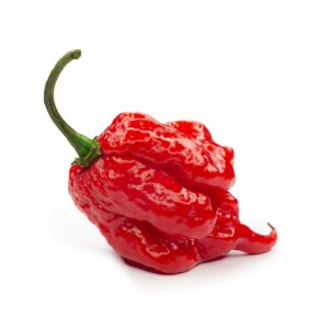 Carolina Reaper per 100g