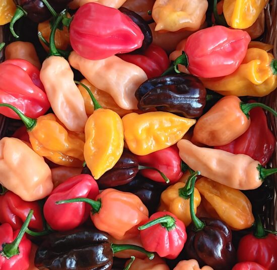 Hot/Very Hot Mixed Chillies Box