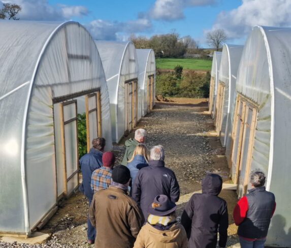A group of visitors touring polytunnels at Cornish Chillies on a sunny day.