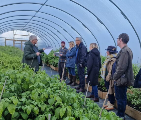 In a Cornish Chillies polytunnel, the group listens to a guide describe the growing of chillies.