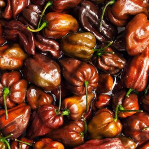 Habanero - Chocolate